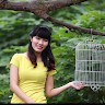 Trang Bùi