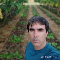 Ricardo Pagliarini De Castro