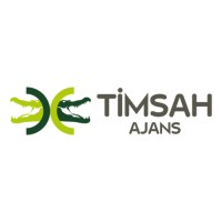 Timsah Dijital