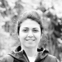 Bahareh Golrokh