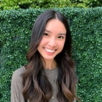 Vi Nguyen