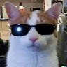 Niko Undefined