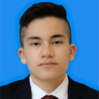William David Becerra Masmela