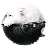 Praveen Kumar Baskar