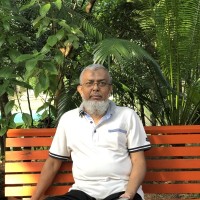 Md. Shamsul Arefeen (Monju)