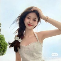 Lisa Zhang