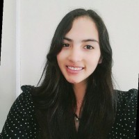 Liz Karen Salvatierra Fernandez