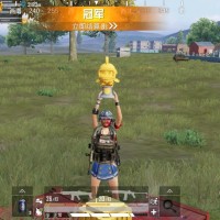王泽文