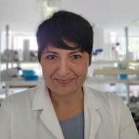 Sonia Contera