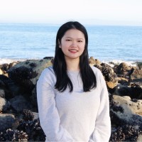 Tracy Lin