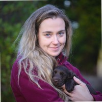 Alice James