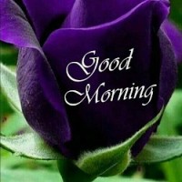 Satheesh M