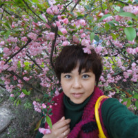 高桂芳