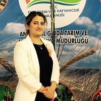 Yeşim Paker