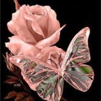 Anne Perry