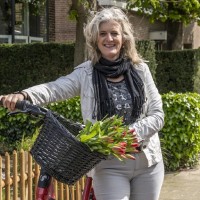 Dianne Heersmink