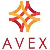 Avex Technical Solutions