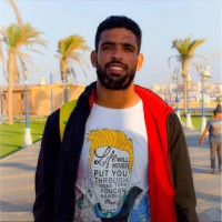 Ahmed Ali