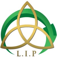 Limadi Industrial Projects