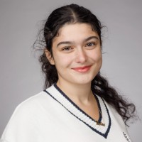 Belin Kesmezacar