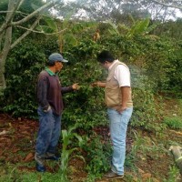 Victor A. Lozano Taype