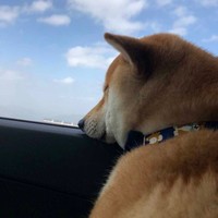 韦永贵