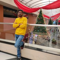 Sayak Majumder