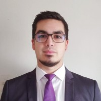 Cristian Mayorga Aedo
