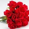 Keerthi Senthil