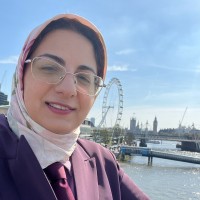 Yasaman KalantarMotamedi
