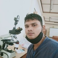 Praveenraj J