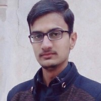 Muhammad Awais Habib