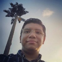 Leonel Octavio Flores Seseño
