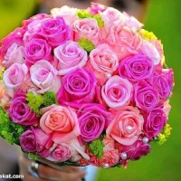 Abdo Hassan