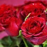 rameshkumar j