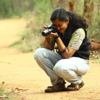 Ashritha A.