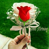 Manish Mohite