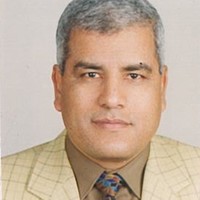 Mahmoud Abouzaid