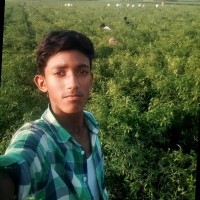 Md Ali Azgor