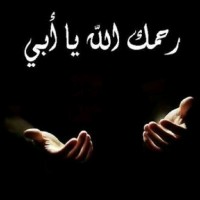 Mohamed Abdel Wadoud