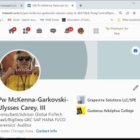 Pw McKenna-Garkovskaya-Ulysses Carey, III