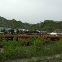 黄剑锋