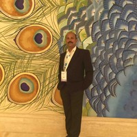 Balasubramanian N