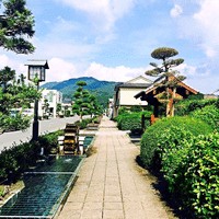孙晓娟