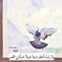 Hdhiri Badreddine