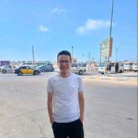 Diaa Hisham