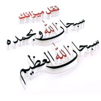 moza salem