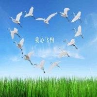 马继成