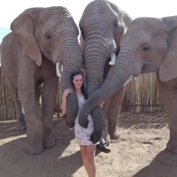 Chantelle Swart