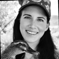 Amy Corvidae
